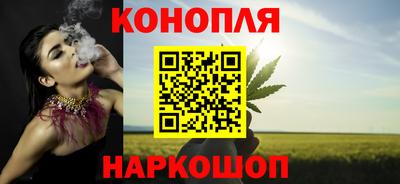 индика Тула