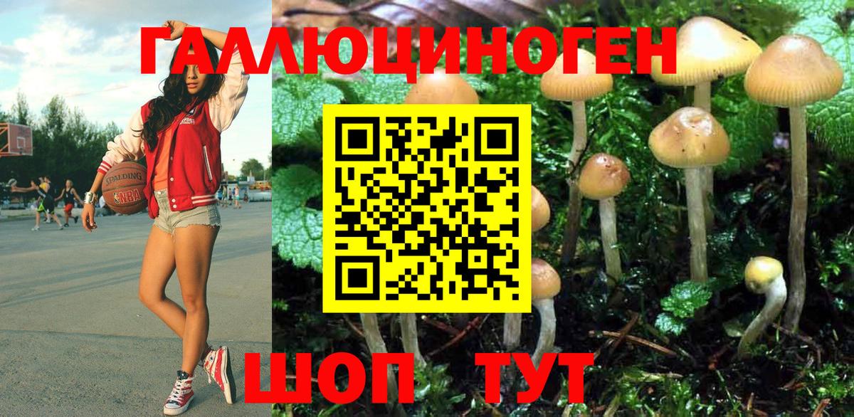 Псилоцибиновые грибы прущие грибы  Вход с VPN  Нововоронеж 