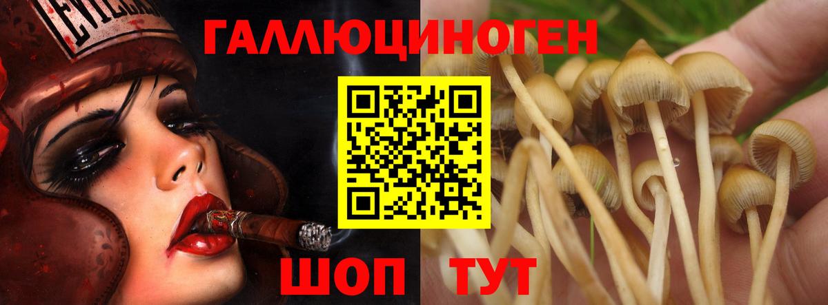 Галлюциногенные грибы мухоморы Нововоронеж